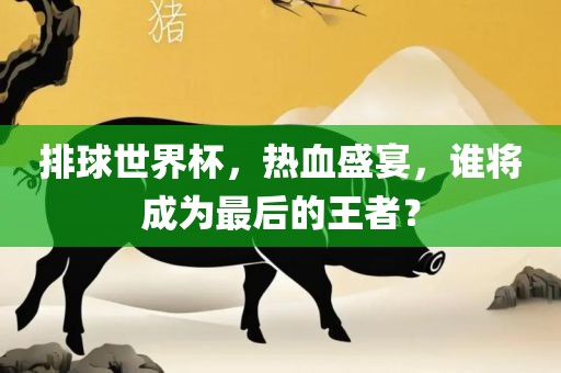 排球世界杯，热血盛宴，谁将成为最后的王者？