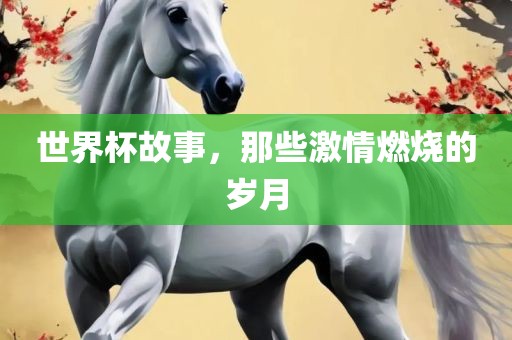 世界杯眉山市正发家政服务有限公司故事，那些激情燃烧的岁月