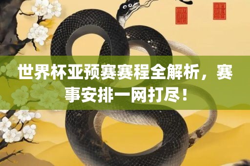 世界杯亚预赛赛程全解析，赛事安排一网打尽！眉山市正发家政服务有限公司