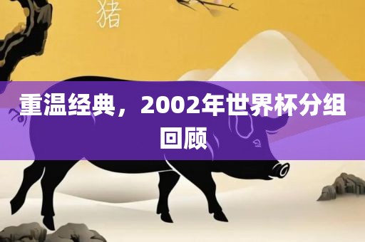 重温经典，2002年世界杯分组回顾