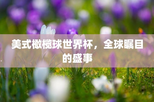 美式橄榄球世界杯，全球瞩目的盛事