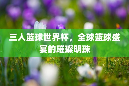三人篮球世界杯，全球篮球盛宴的璀璨明珠
