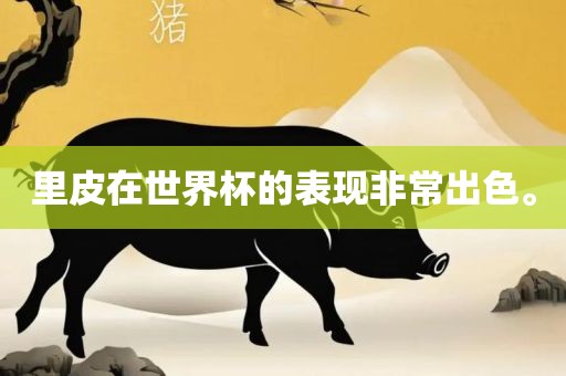 里皮在世界杯的表现非常出色。眉山市正发家政服务有限公司