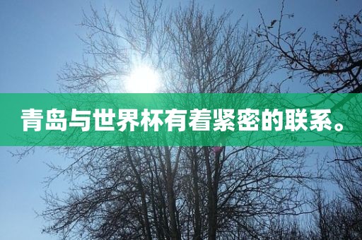 青岛与世界杯有着紧密的联系。眉山市正发家政服务有限公司