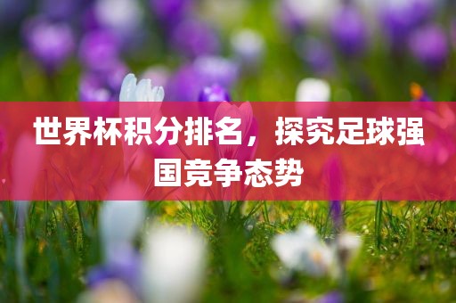 世界杯积分排名，探究足球强国竞争态势眉山市正发家政服务有限公司