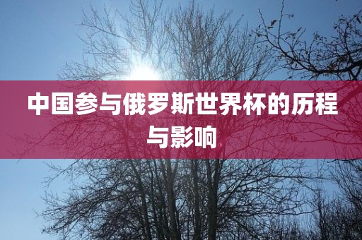 中国参与俄罗斯世界杯的历程与影响