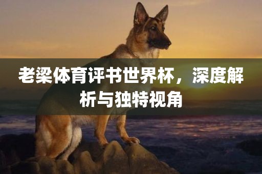 老梁体育评书世界杯，深度解析与独特视角