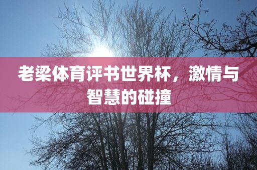 老梁体育评书世界杯，激情与智慧的碰撞眉山市正发家政服务有限公司