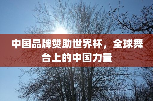 中国品牌赞助世界杯，全球舞台上的中国力量
