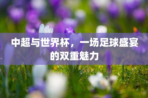 中超与世界杯，一场足球盛宴的双重魅力眉山市正发家政服务有限公司