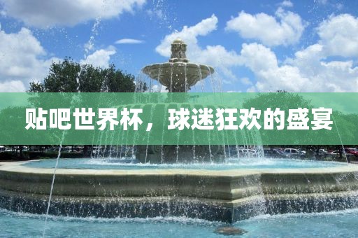 贴吧世界杯，球迷狂欢的盛宴眉山市正发家政服务有限公司