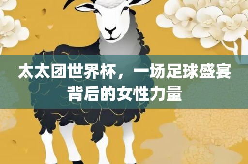 太太团世界杯，一场足球盛宴背后的女性力量