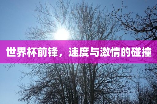 世界杯前锋，速度与激情的碰撞