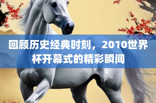回顾历史经典时刻，2010世界杯开幕式的精彩瞬间眉山市正发家政服务有限公司