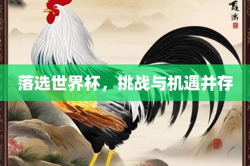 落选世界杯，挑战与机遇并存