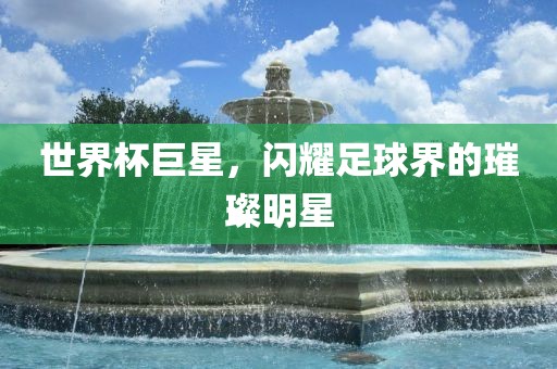世界杯巨星，闪耀足球界的璀璨明星眉山市正发家政服务有限公司