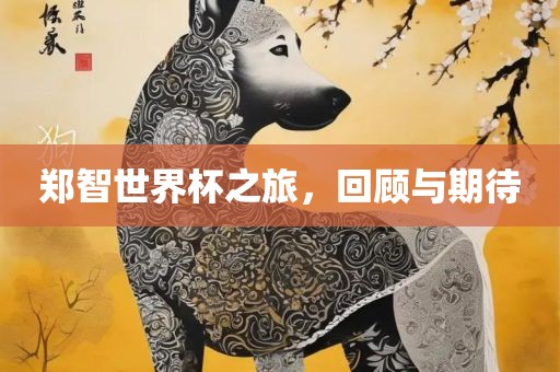 chenqimei 第5页