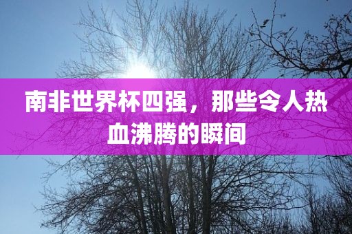 南非世界杯四强，那些令人热血沸腾的瞬间眉山市正发家政服务有限公司