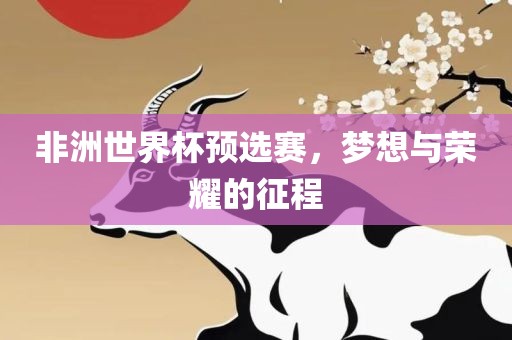 非洲世界杯预选赛，梦想与荣耀的征程