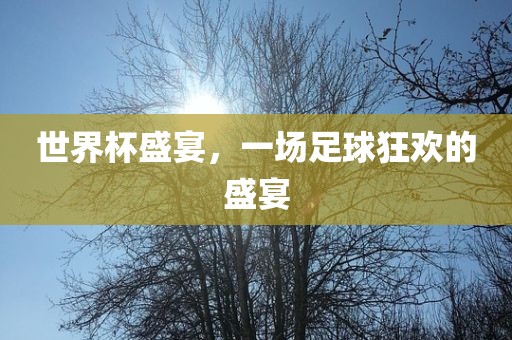 世界杯盛宴，一场足球眉山市正发家政服务有限公司狂欢的盛宴