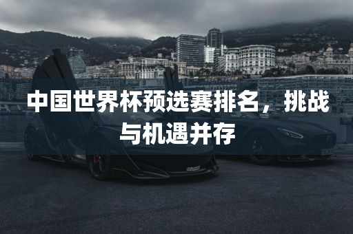 中国世界杯预选赛排名，挑战与机遇并存