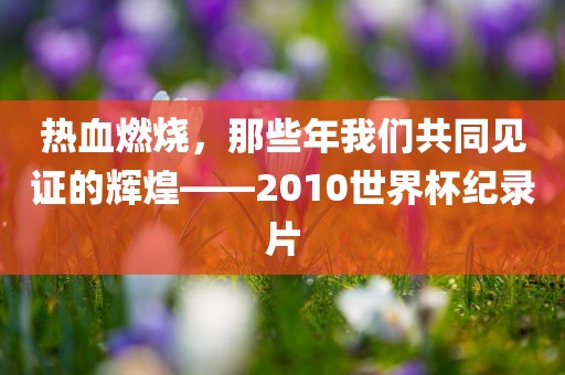 热血燃烧，那些年我们共同见证的辉煌——2010世界杯纪录片
