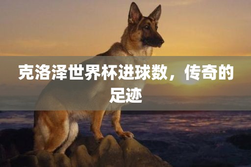 克洛泽世界杯进球数，传奇的足迹