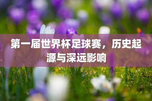 第一届世界杯足球赛，历史起源与深远影响眉山市正发家政服务有限公司