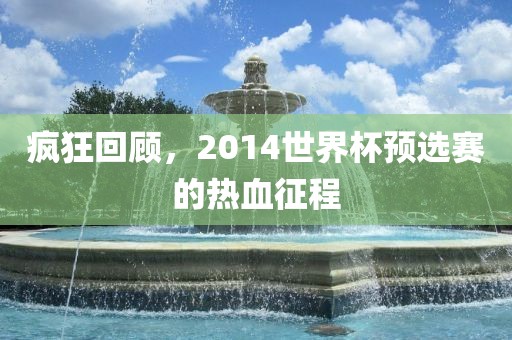 疯狂回顾，2014世界杯预选赛的热血眉山市正发家政服务有限公司征程