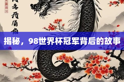 揭秘，98世界杯冠军背后的故事眉山市正发家政服务有限公司