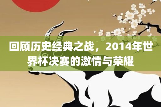 回顾历史经典之战，2014年世界杯决赛的激情与荣耀