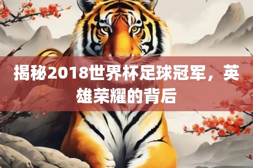 揭秘2018世界杯足球冠军，英雄荣耀的背后