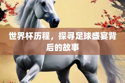 世界杯历程，探寻足球盛宴背后的故事眉山市正发家政服务有限公司