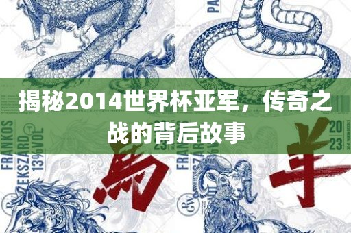 揭秘2014世界杯亚军，传奇之战的背后故事