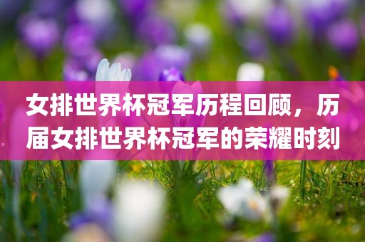 女排世界杯冠军历程回顾，历届女排世界杯冠军的荣耀时刻