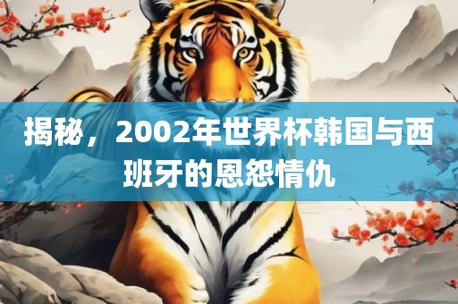 揭秘，2002年世界杯韩国与西班牙的恩怨情仇眉山市正发家政服务有限公司