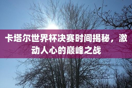 卡塔尔世界杯决赛时间揭秘，激动人心的巅峰之战眉山市正发家政服务有限公司
