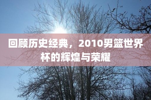 回顾历史经典，2010男篮世界杯的辉煌与荣耀眉山市正发家政服务有限公司