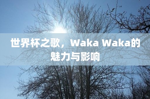 世界杯之歌，Waka Waka的魅力与影响