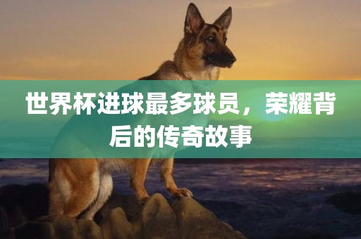世界杯进球最多球员，荣耀背后的传奇故事