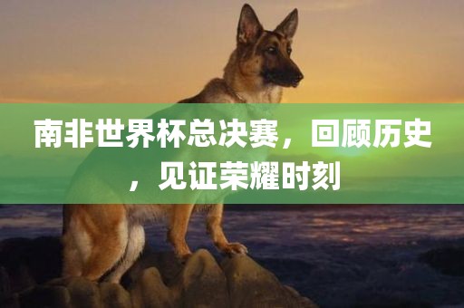 南非世界杯总决赛，回顾历史，见证荣耀时刻