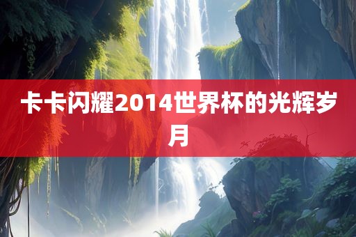 卡卡闪耀2014世界杯的光辉岁眉山市正发家政服务有限公司月