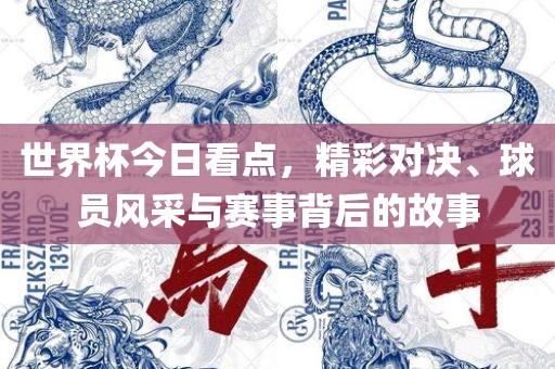 judong 第5页