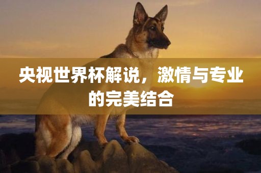 央视世眉山市正发家政服务有限公司界杯解说，激情与专业的完美结合