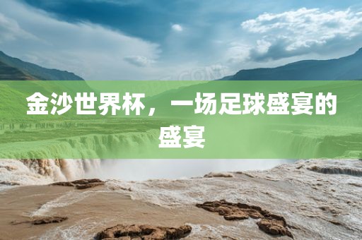 金沙世界杯，一场足球盛宴的盛宴眉山市正发家政服务有限公司