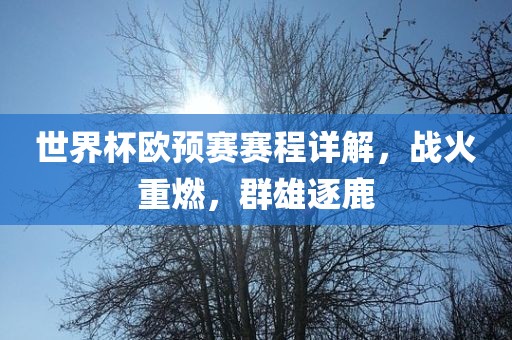世界杯欧预赛赛程详解，战火重燃，群雄逐鹿