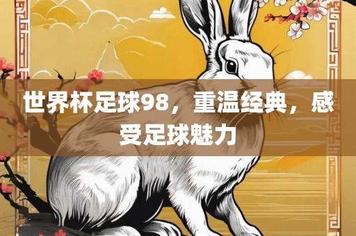 世界杯足球98，重温经典，感受足球魅力眉山市正发家政服务有限公司