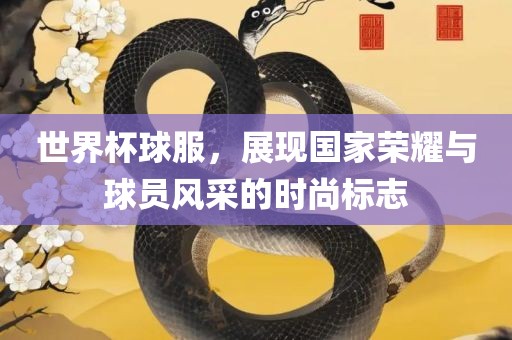 世界杯球服，展现国家荣耀与球员风采的时尚标志