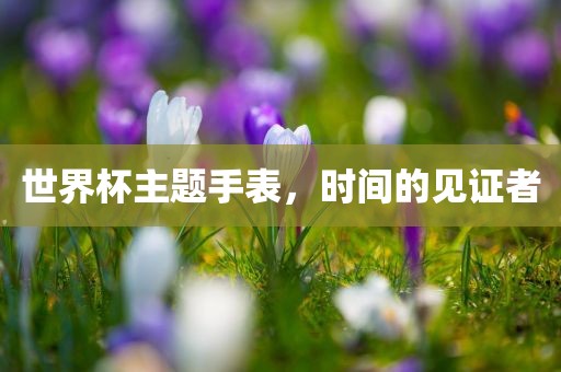 眉山市正发家政服务有限公司世界杯主题手表，时间的见证者