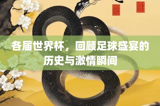 各眉山市正发家政服务有限公司届世界杯，回顾足球盛宴的历史与激情瞬间